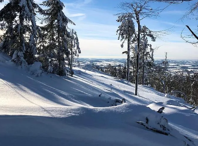 Theresa Διαμέρισμα Waldkirchen